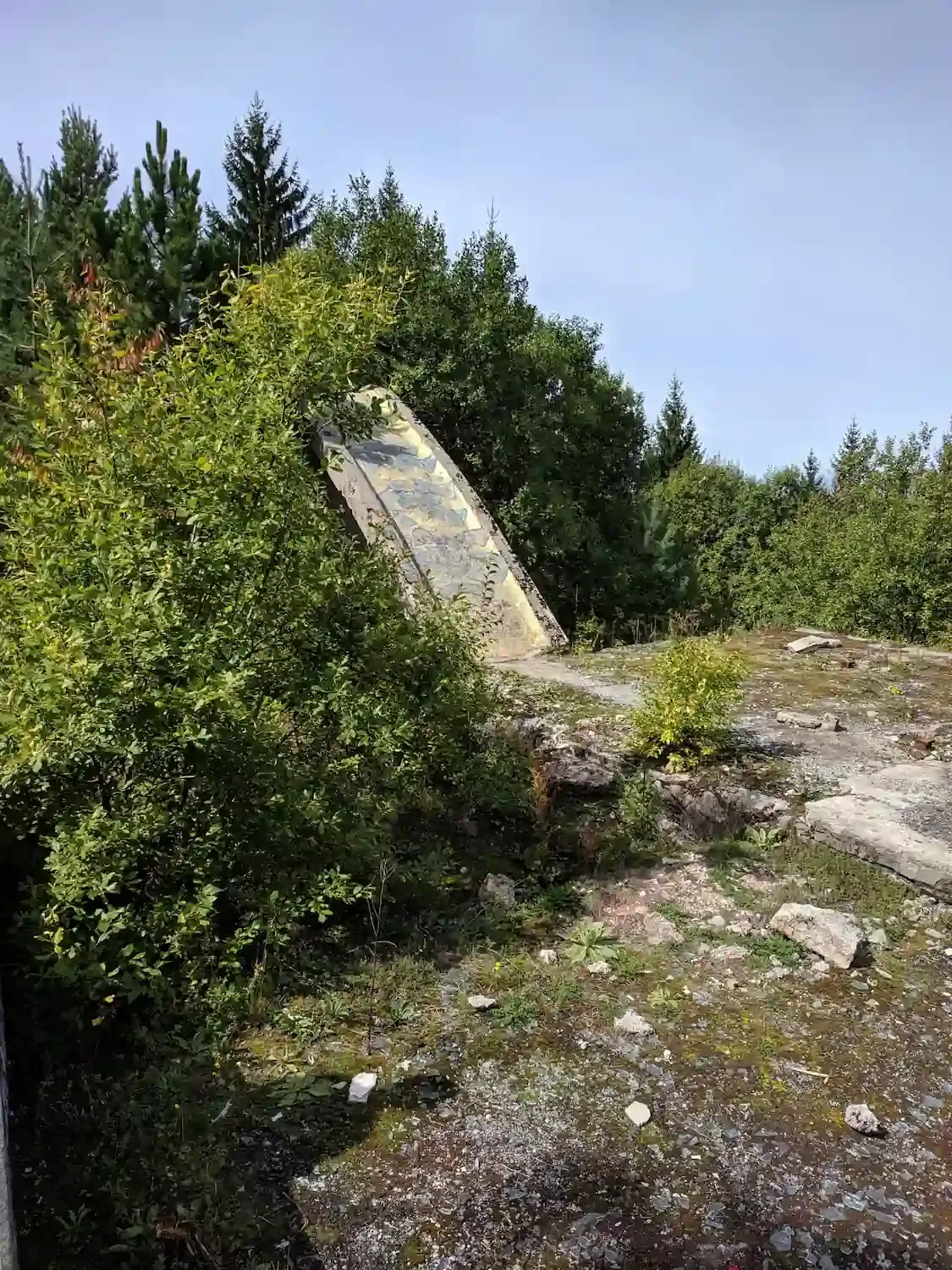 The men's luge start ramp at Trebević remains overgrown in 2020