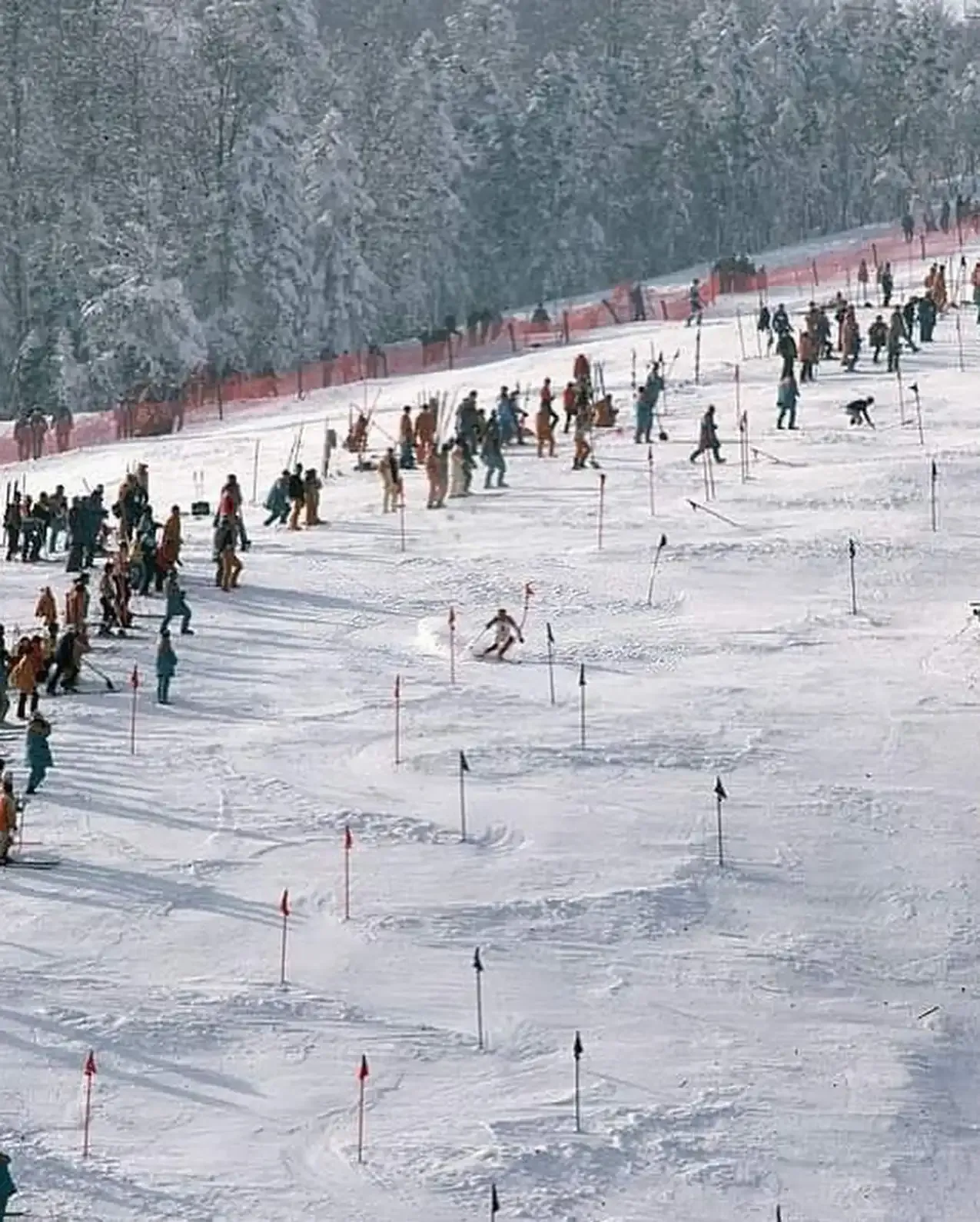 Slalom competition on the Bjelašnica mountain slopes in 1984